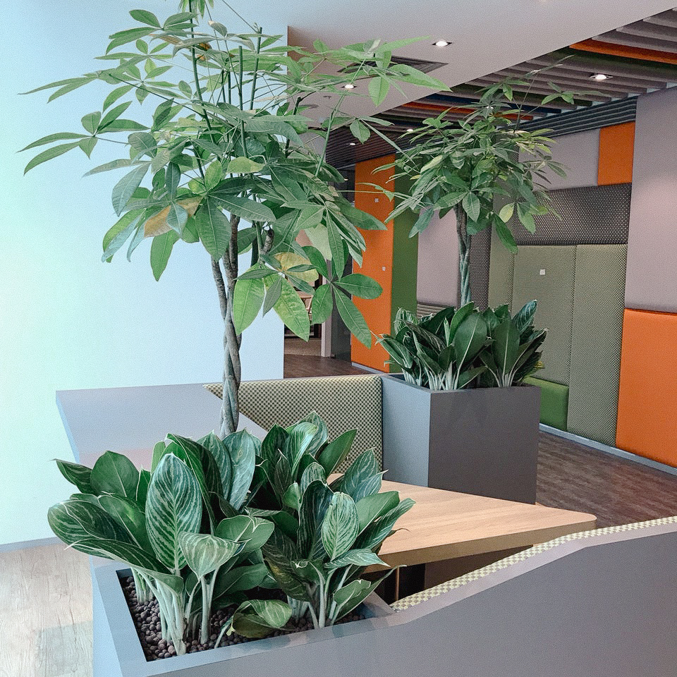 office@shenton.1.jpg